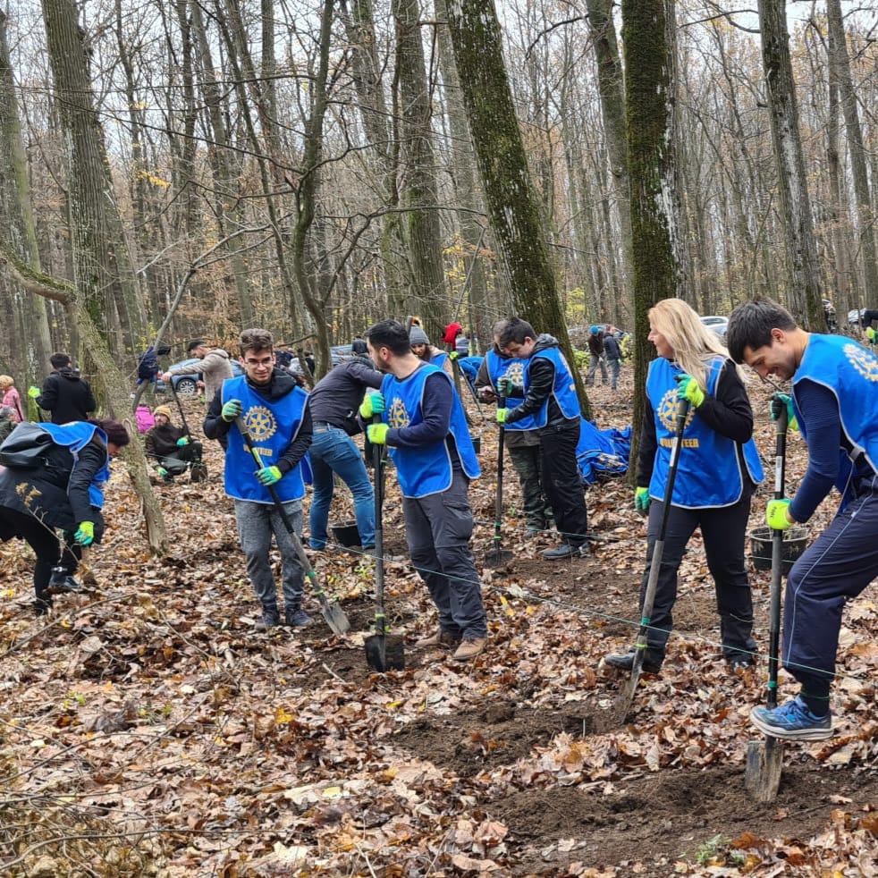 Afforestation with Rotary Bucharest